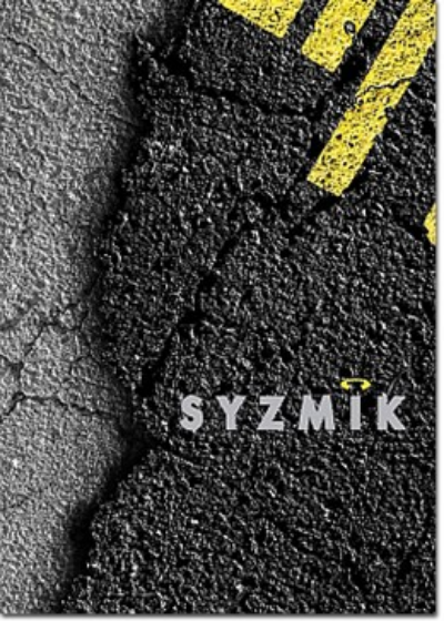 2013 syzmik cover 260x365-211