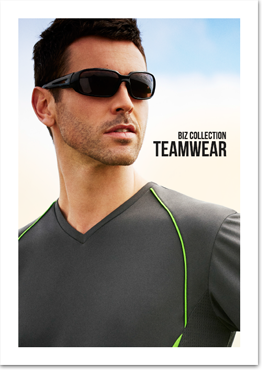 BizCollection2015 Teamwear-copy direct