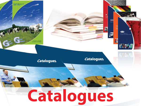 catalogue-600x451mm catalogue-600x451mm