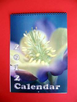 A4 Portrait Annual Calendar